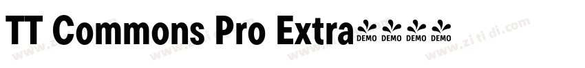 TT Commons Pro Extra字体转换